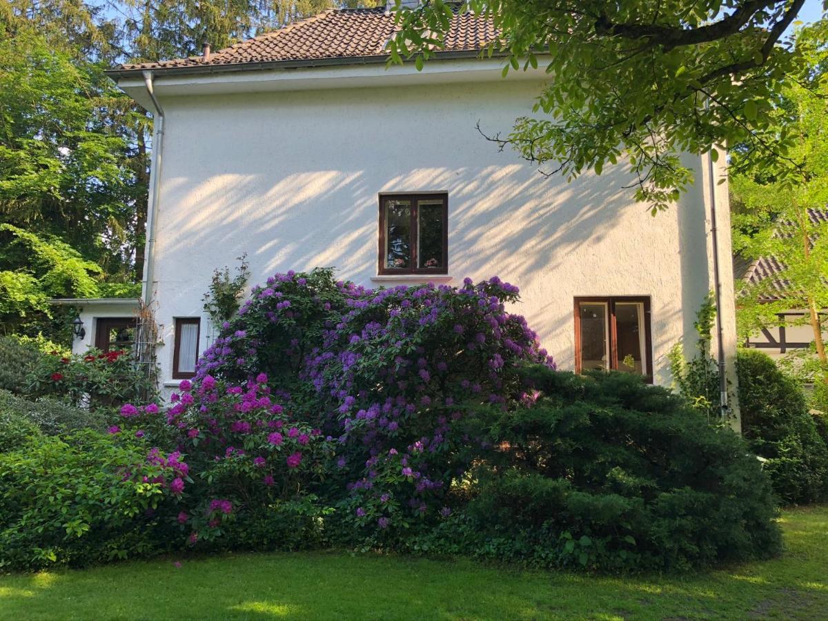 Ferienhaus Hudemühlen Hodenhagen Exterior foto